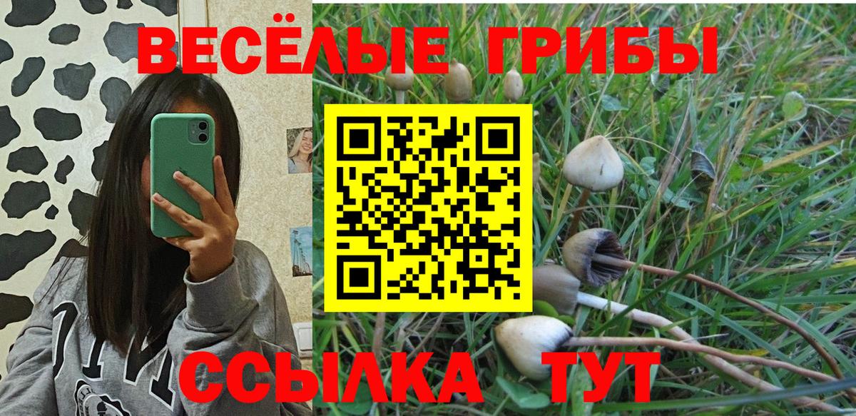 Псилоцибиновые грибы MAGIC MUSHROOMS Ипатово