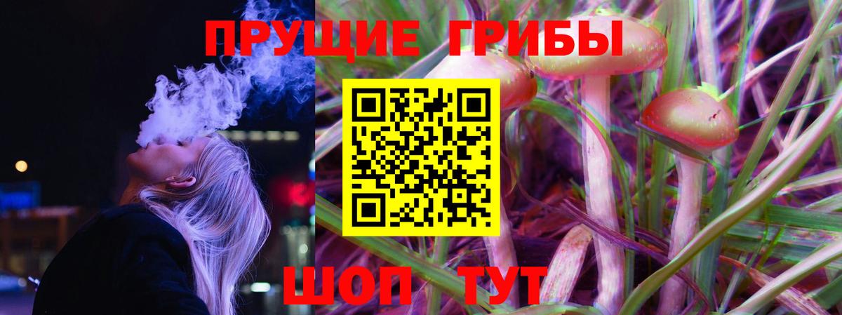 Псилоцибиновые грибы Psilocybine cubensis  Вход с VPN  Ипатово  Галлюциногенные грибы MAGIC MUSHROOMS 